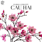 CÀNH HOA MỘC LAN SUPER - HOT PINK