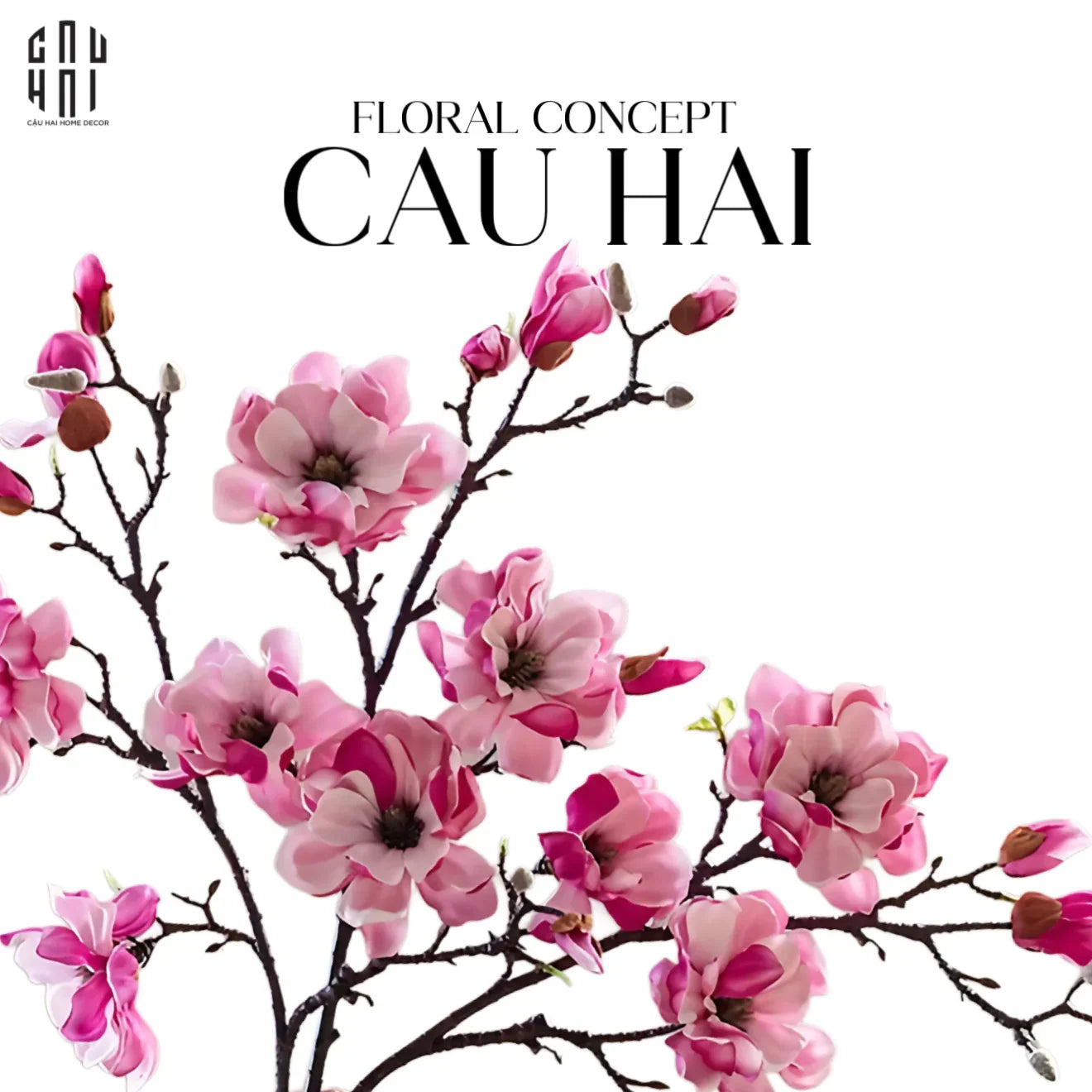 canh-hoa-moc-lan-magnolia-grandiflora-cau-hai-home-decor - CẬU HAI HOME DECOR