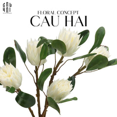 Cành Hoa Thảo Đường Hoàng Đế Protea King - White-CẬU HAI HOME DECOR