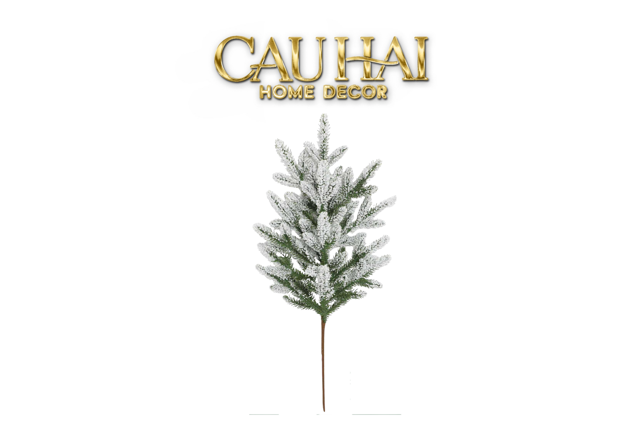 CÀNH THÔNG - CẬU HAI HOME DECOR