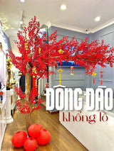 CÂY ĐÔNG ĐÀO KHỔNG LỒ-CẬU HAI HOME DECOR