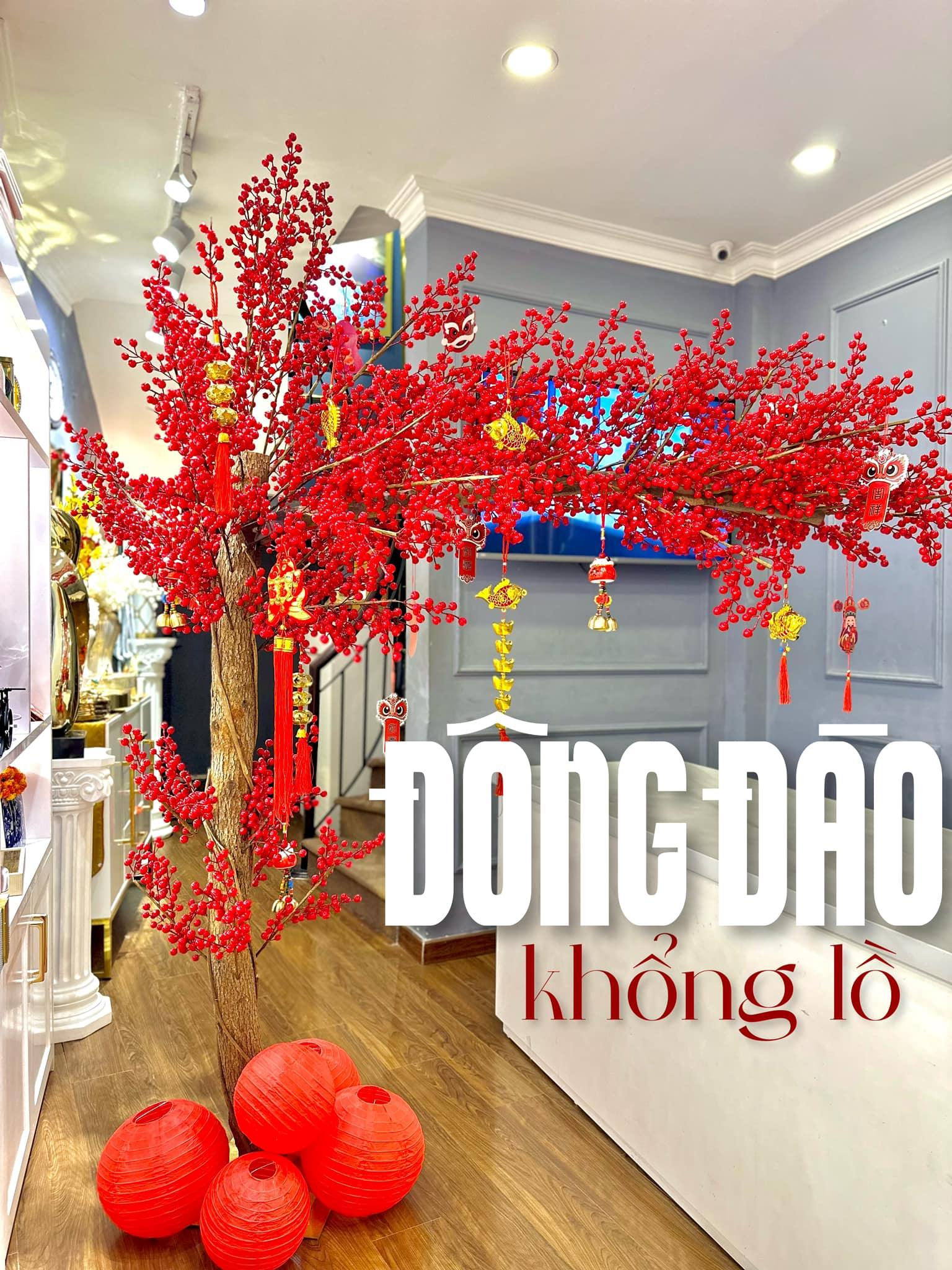 CÂY ĐÔNG ĐÀO KHỔNG LỒ-CẬU HAI HOME DECOR
