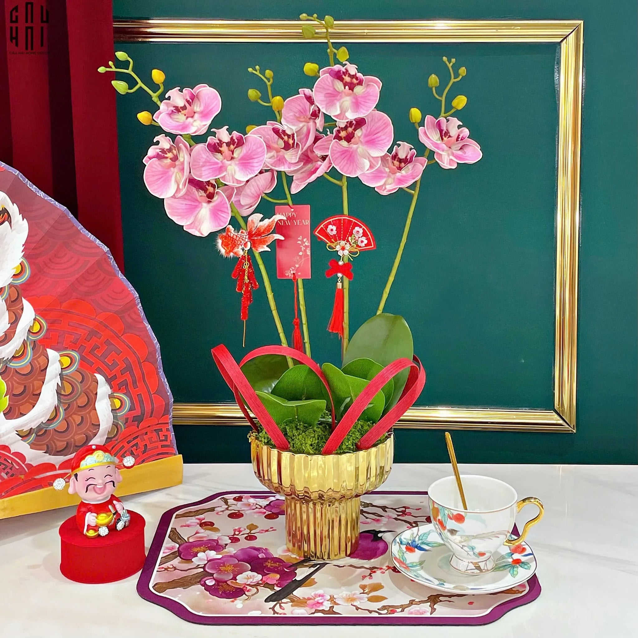 CHẬU HOA LAN HỒ ĐIỆP - PHẤN SẮC