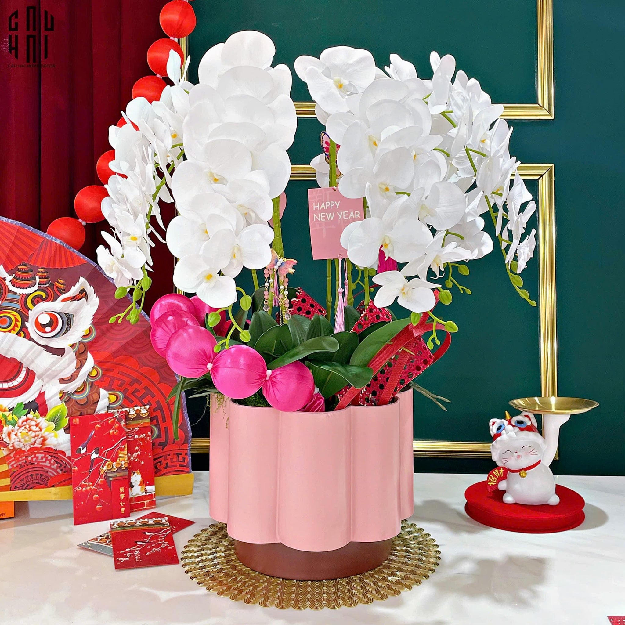 CHẬU HOA LAN HỒ ĐIỆP - TUYẾT BẠCH
