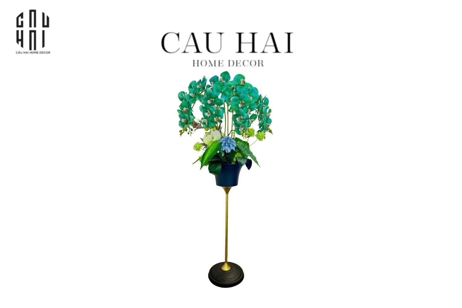 CHẬU HOA LAN ORCHID - EMERALD GRACE