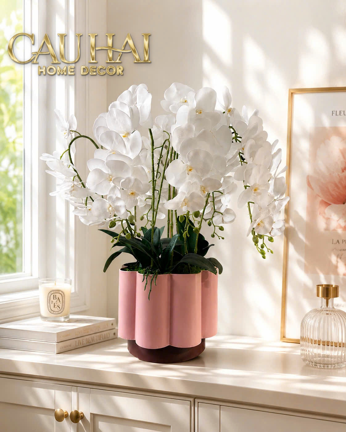 Chậu Lan Hồ Điệp Blanc Impérial H70-BÌNH HOA-CẬU HAI HOME DECOR