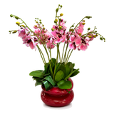 Chậu Lan Hồ Điệp Rosé Élégance H60-BÌNH HOA-CẬU HAI HOME DECOR-CẬU HAI HOME DECOR