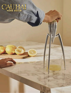 elysian-fw25-tuong-kitchenware-spider-citron-chrome-h29-tuong-trang-tri-cau-hai-home-decor-14 - CẬU HAI HOME DECOR