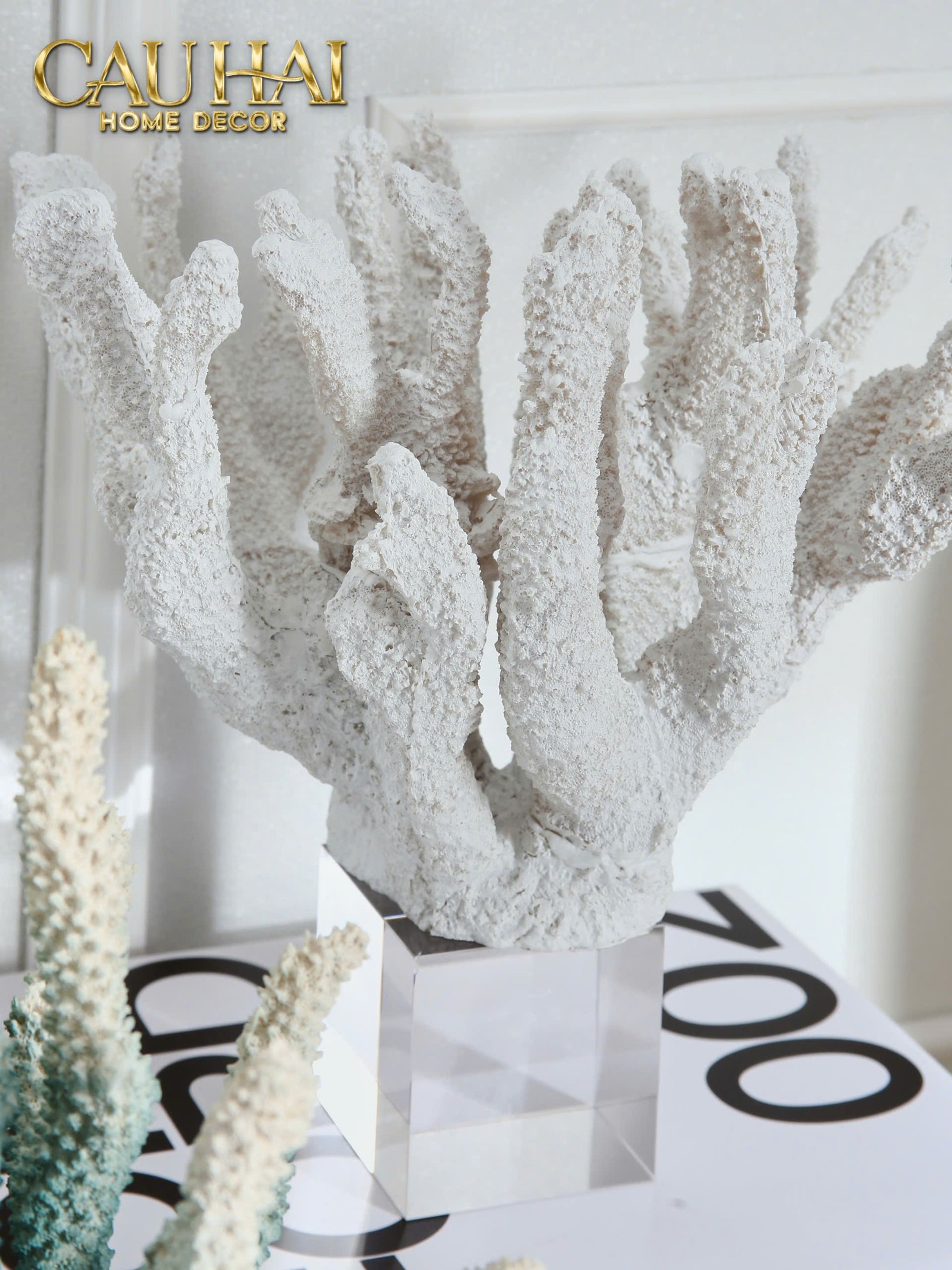 Home Couture - Tượng San Hô Arctica Frosting Corallia-CẬU HAI HOME DECOR