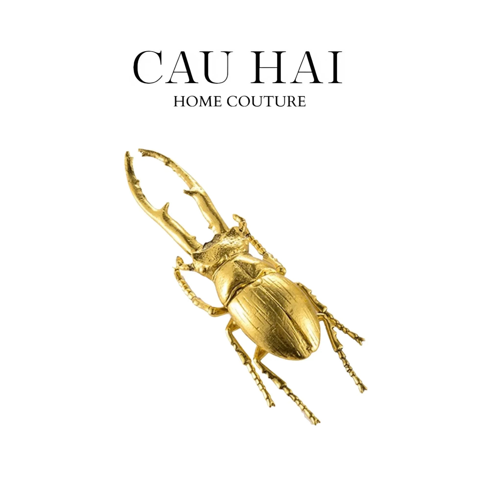 Golden Rhinoceros Beetle-CẬU HAI HOME DECOR