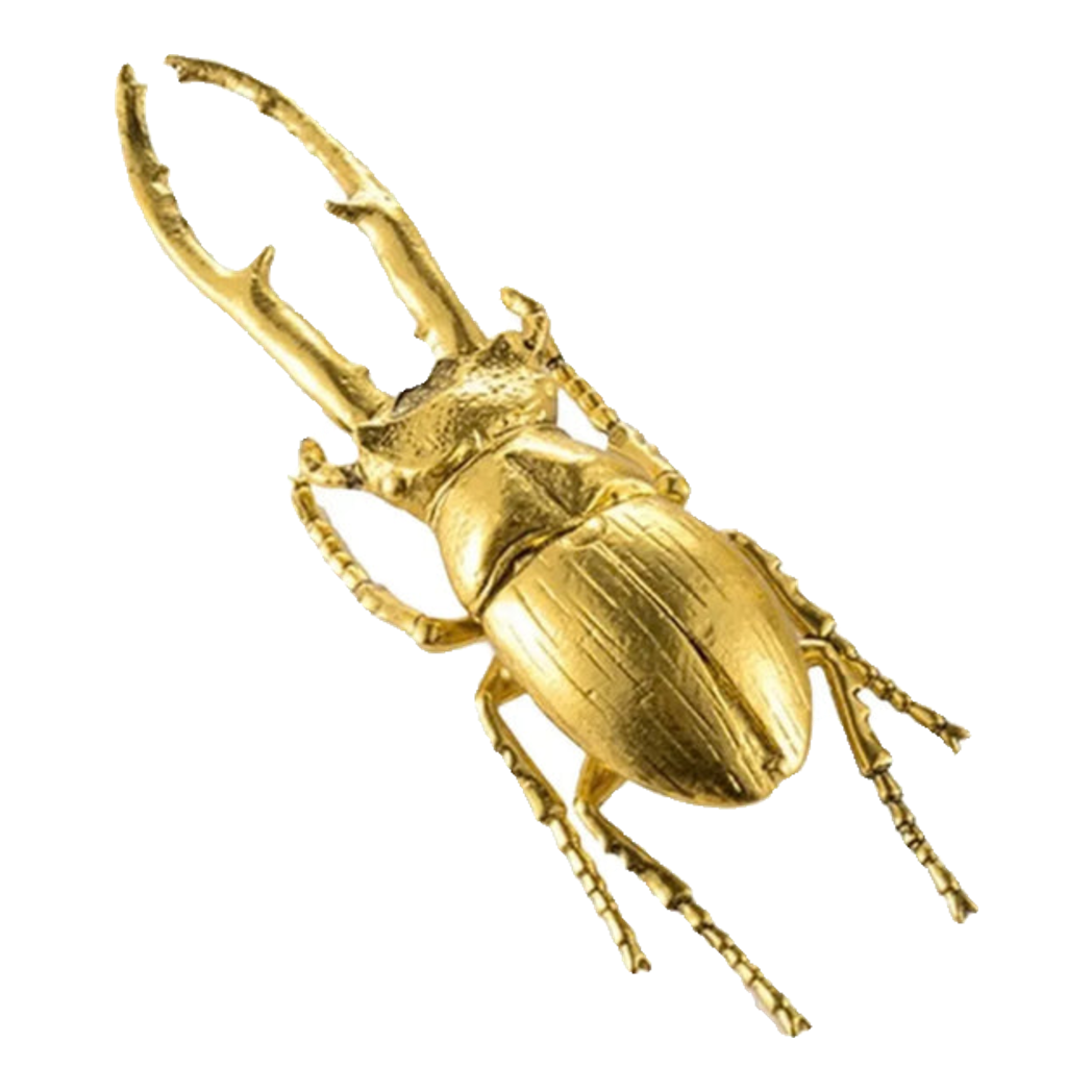 Golden Rhinoceros Beetle