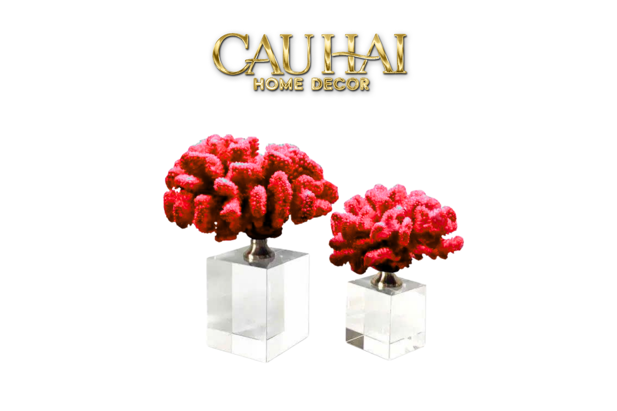 Home Couture - Set 2 Tượng San Hô Đỏ Ashen Pyre Corals Crystal Base. - CẬU HAI HOME DECOR