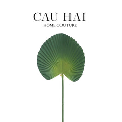 Lá Cây Cọ Licuala Orbicularis-CẬU HAI HOME DECOR