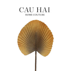 Lá Cây Cọ Licuala Orbicularis-CẬU HAI HOME DECOR