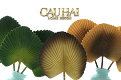 Lá Cây Cọ Licuala Orbicularis-CẬU HAI HOME DECOR