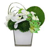 Lọ Hoa Whispering Orchid