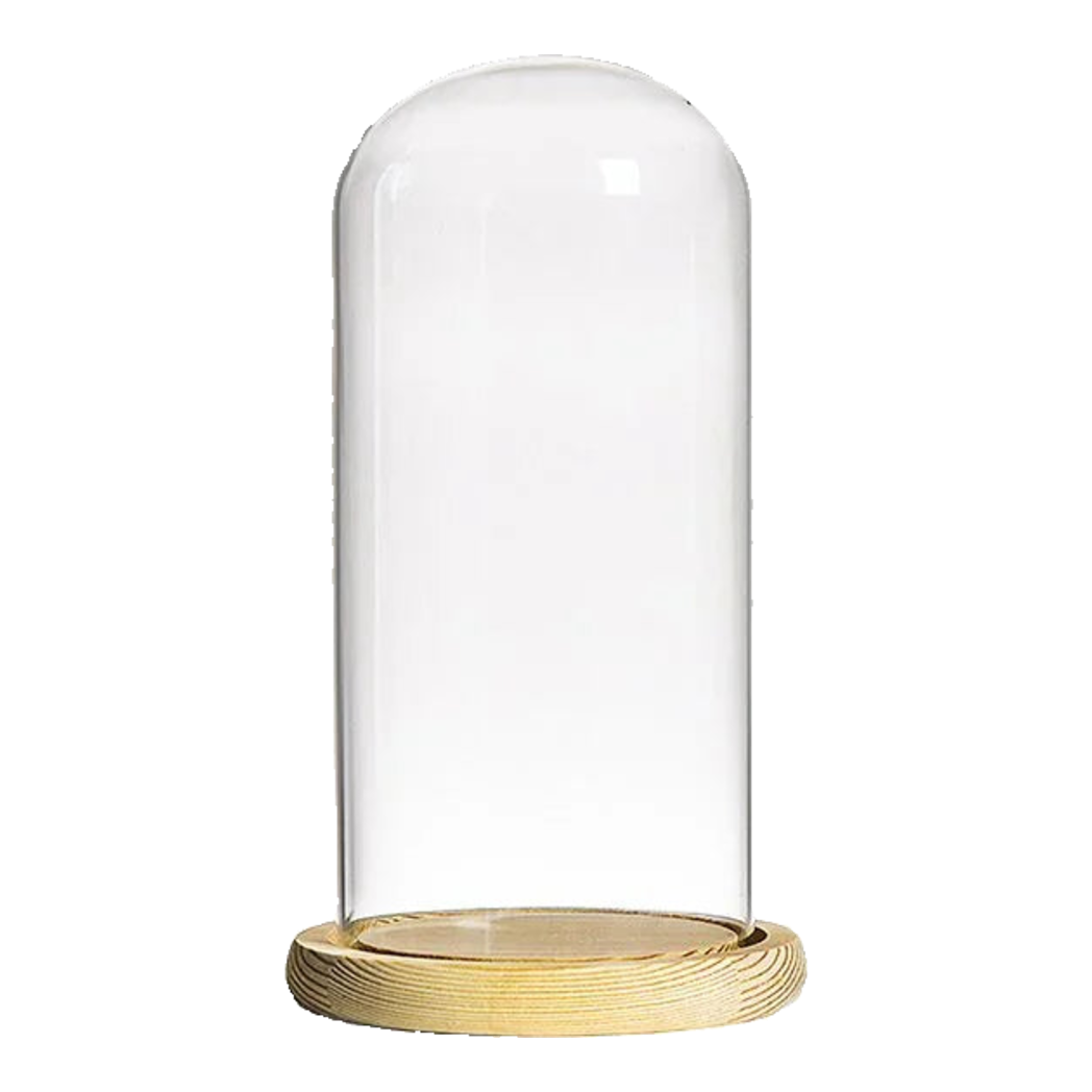 Lọ Thuỷ Tinh Victor Ss22