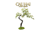 Maison Couture - Cây Bonsai Xuân Hoa Hải Đảo - Zen Sculpture H180 - Dáng Cây Đặt Theo Yêu Cầu-TƯỢNG TRANG TRÍ-CẬU HAI HOME DECOR