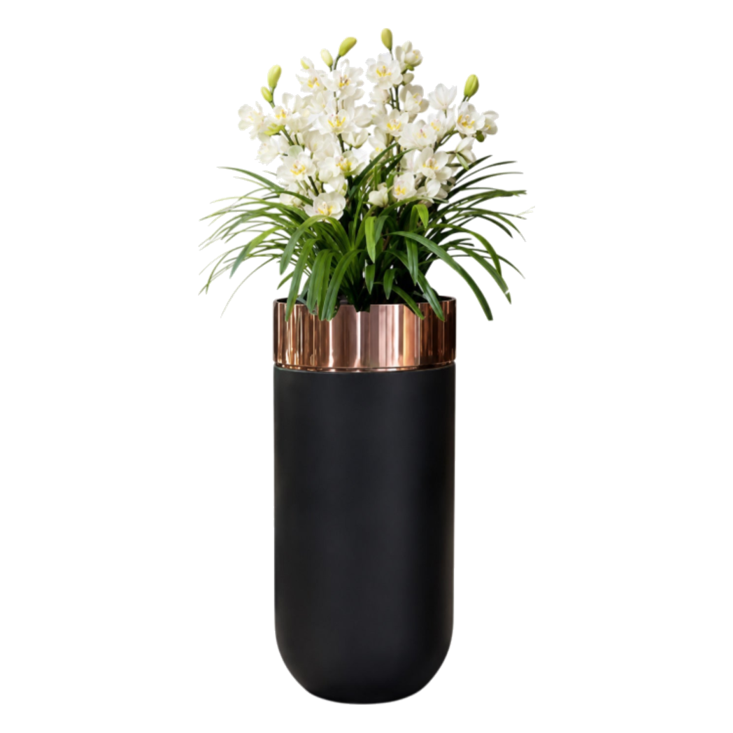 Maison Couture - Chậu Hoa Địa Lan Cymbidium Rosé Noir H170 - Cậu Hai Home Decor