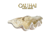 Maison Couture - Khay Vỏ Sò Mirage Pearl Seashell Tray D33-KHAY TRANG TRÍ-CẬU HAI HOME DECOR