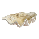 Maison Couture - Khay Vỏ Sò Mirage Pearl Seashell Tray D33-KHAY TRANG TRÍ-Đối tác tại Trung Quốc theo từng đơn đặt hàng-CẬU HAI HOME DECOR