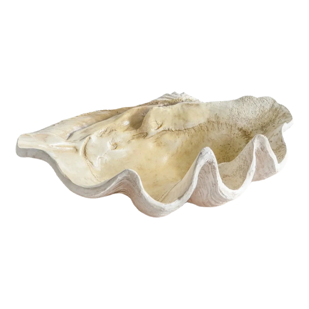 Maison Couture - Khay Vỏ Sò Mirage Pearl  Seashell Tray D33