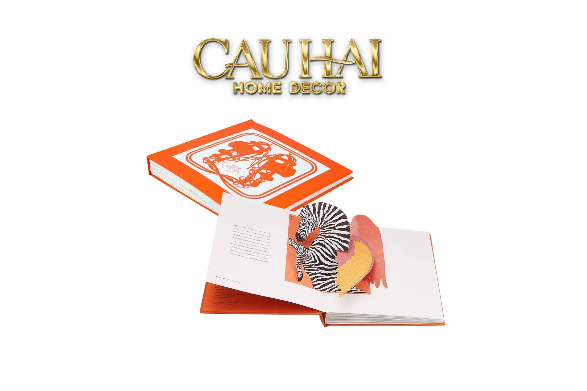 Maison Couture - Sách Fashion Runway Pop-up H Class Luxury Silk Scarf 21.6x21.6x3.2