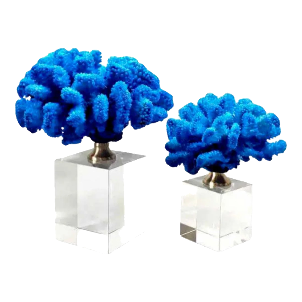 Maison Couture - Set 2 Tượng San Hô Đế Pha Lê Azure Tidal Aether Coral