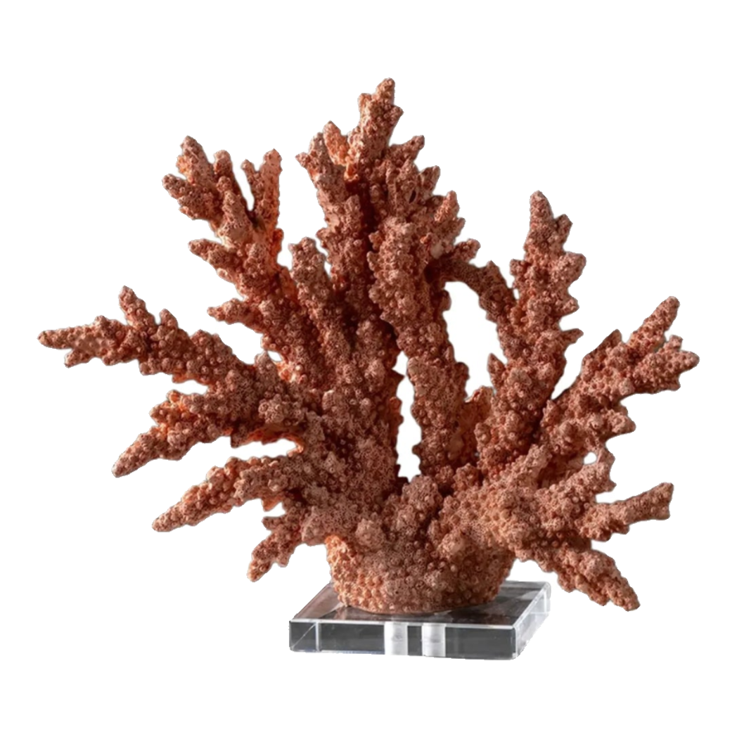 Maison Couture - Tượng San Hô Vương Miện Couronne Ashen Terra Cristalleries Coral Sculptures 34x12x30