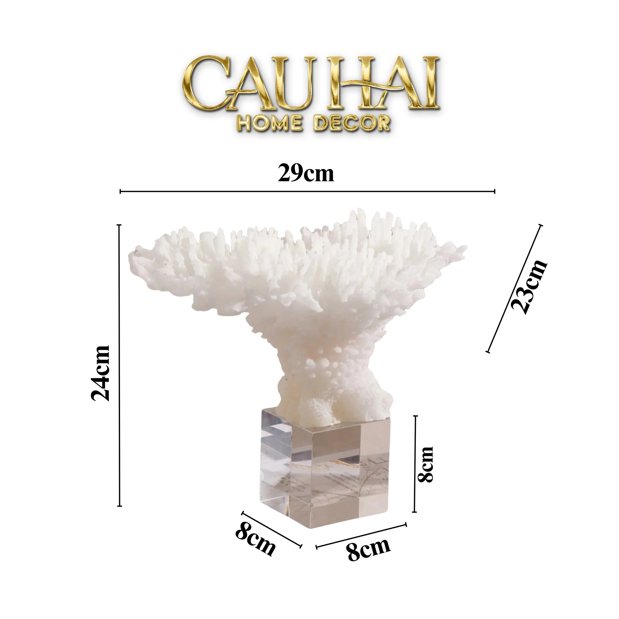 Maison Couture - Tượng San Hô Blanc De Mer Coral D'Ivoire-TƯỢNG TRANG TRÍ-CẬU HAI HOME DECOR