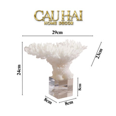 Maison Couture - Tượng San Hô Blanc De Mer Coral D'Ivoire-TƯỢNG TRANG TRÍ-CẬU HAI HOME DECOR