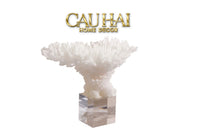 Maison Couture - Tượng San Hô Blanc De Mer Coral D'Ivoire-CẬU HAI HOME DECOR