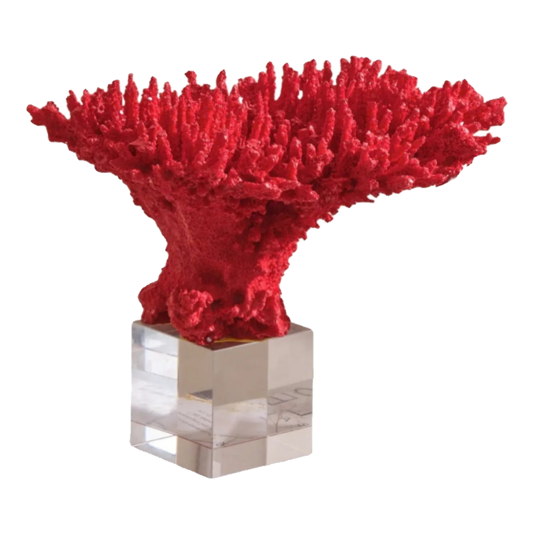 Maison Couture - Tượng San Hô Coral - Flame Fw25