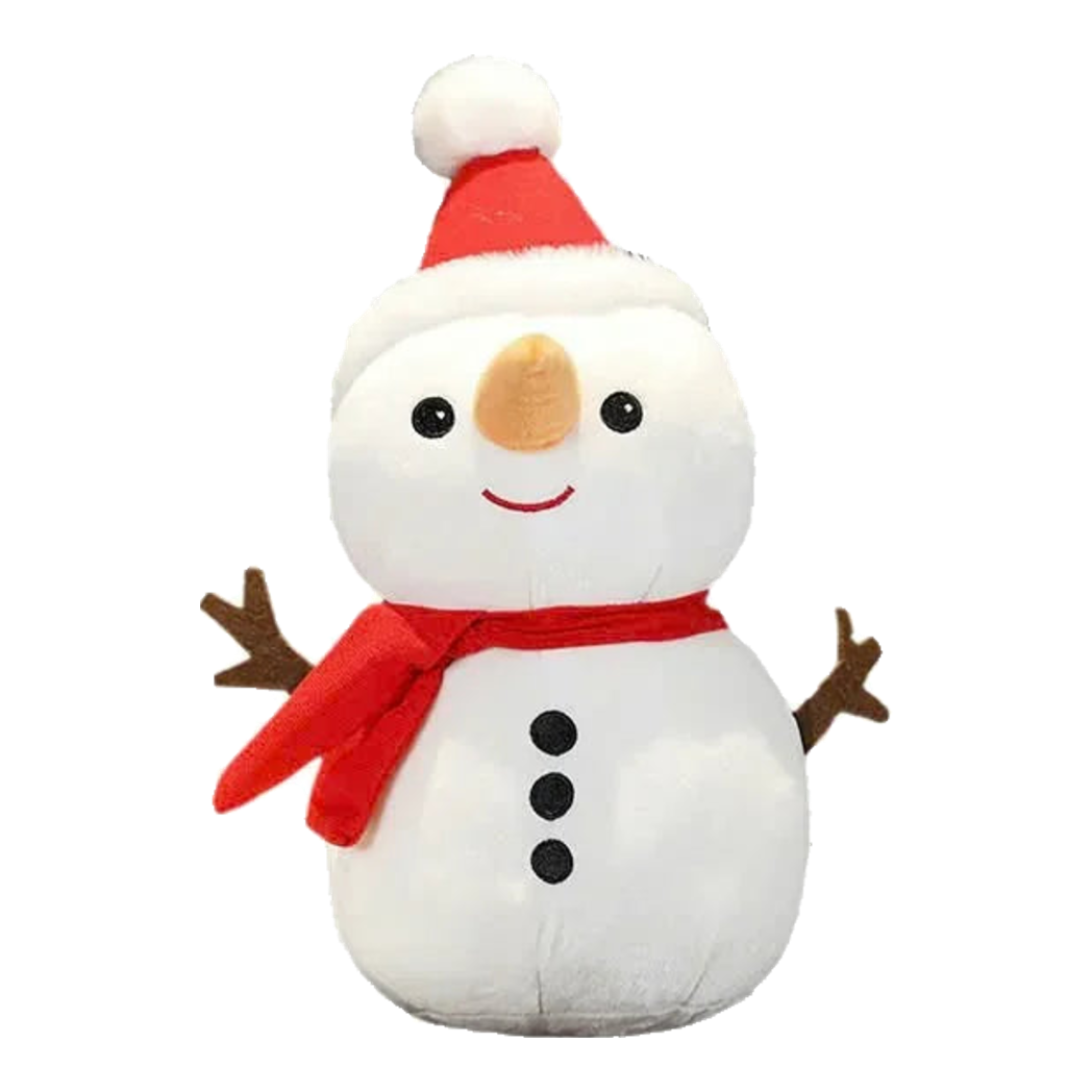 Người Tuyết - Lovely White Snow Man With Stick