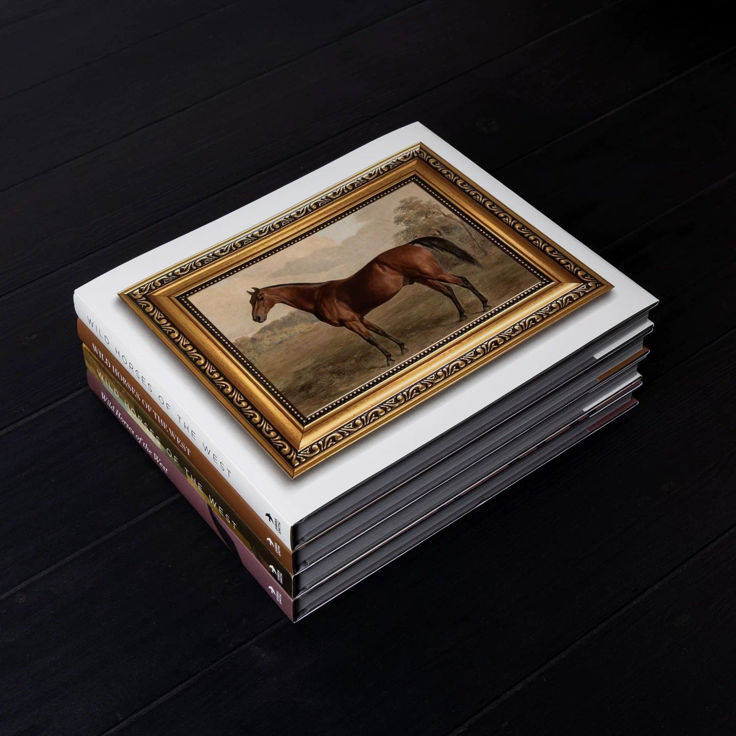 Sách Fashion Runway Wild Horses 29.5x25.2.8-CẬU HAI HOME DECOR