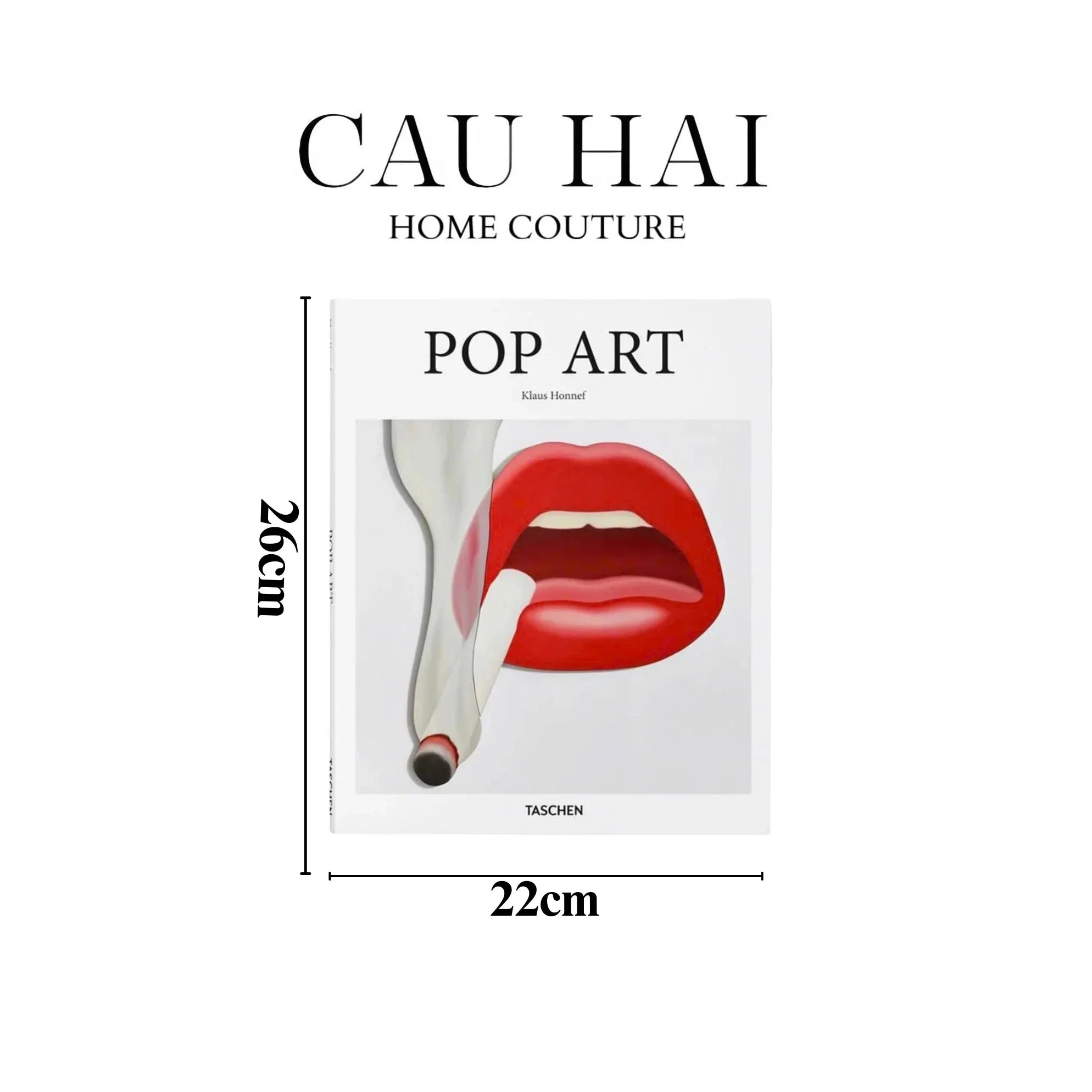 SÁCH POP ART