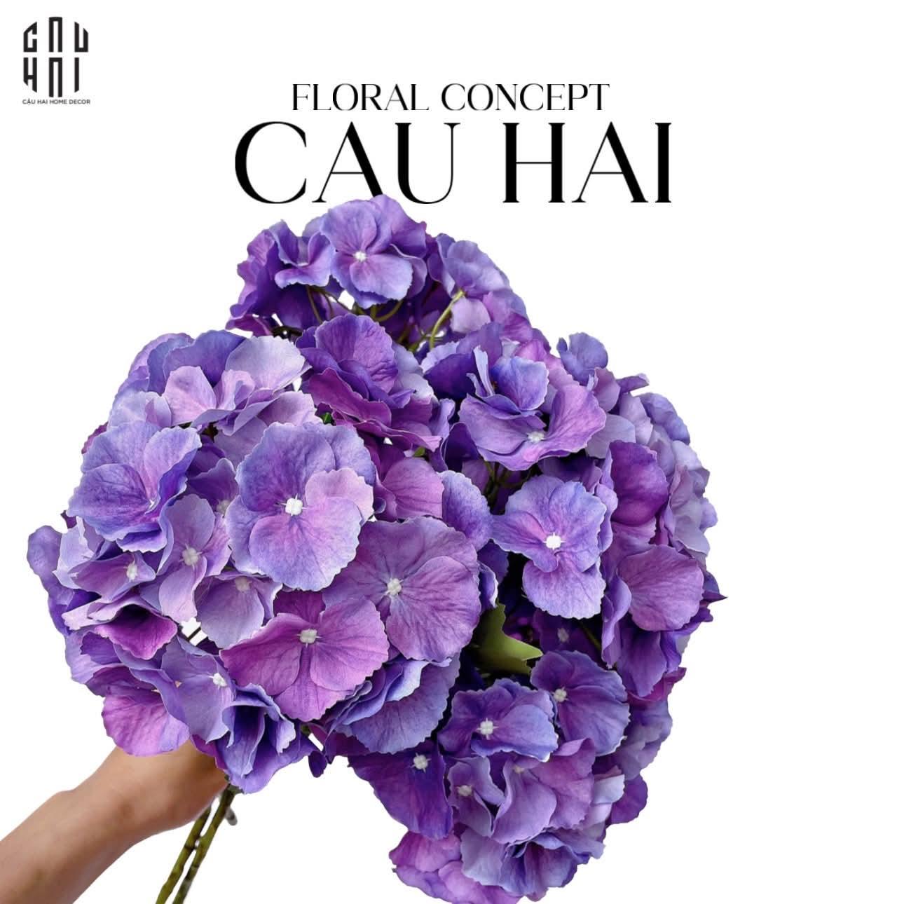 SET 2 CÀNH CẨM TÚ CẦU ĐẠI HYDRANGEA MARCOPHYLLA - TÍM
