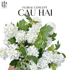 set-2-canh-cam-tu-cau-mini-trang-cau-hai-home-decor - CẬU HAI HOME DECOR