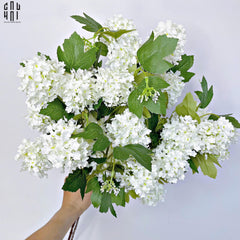 Set 2 Cành Cẩm Tú Cầu Mini - Trắng-Hoa Lụa-CẬU HAI HOME DECOR
