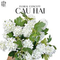 Set 2 Cành Cẩm Tú Cầu Mini - Trắng-Hoa Lụa-CẬU HAI HOME DECOR