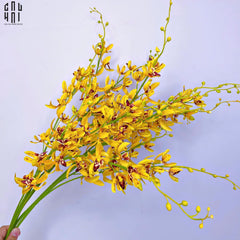 Set 2 Cành Địa Lan Cymbidium Mini - Vàng-Hoa Lụa-CẬU HAI HOME DECOR