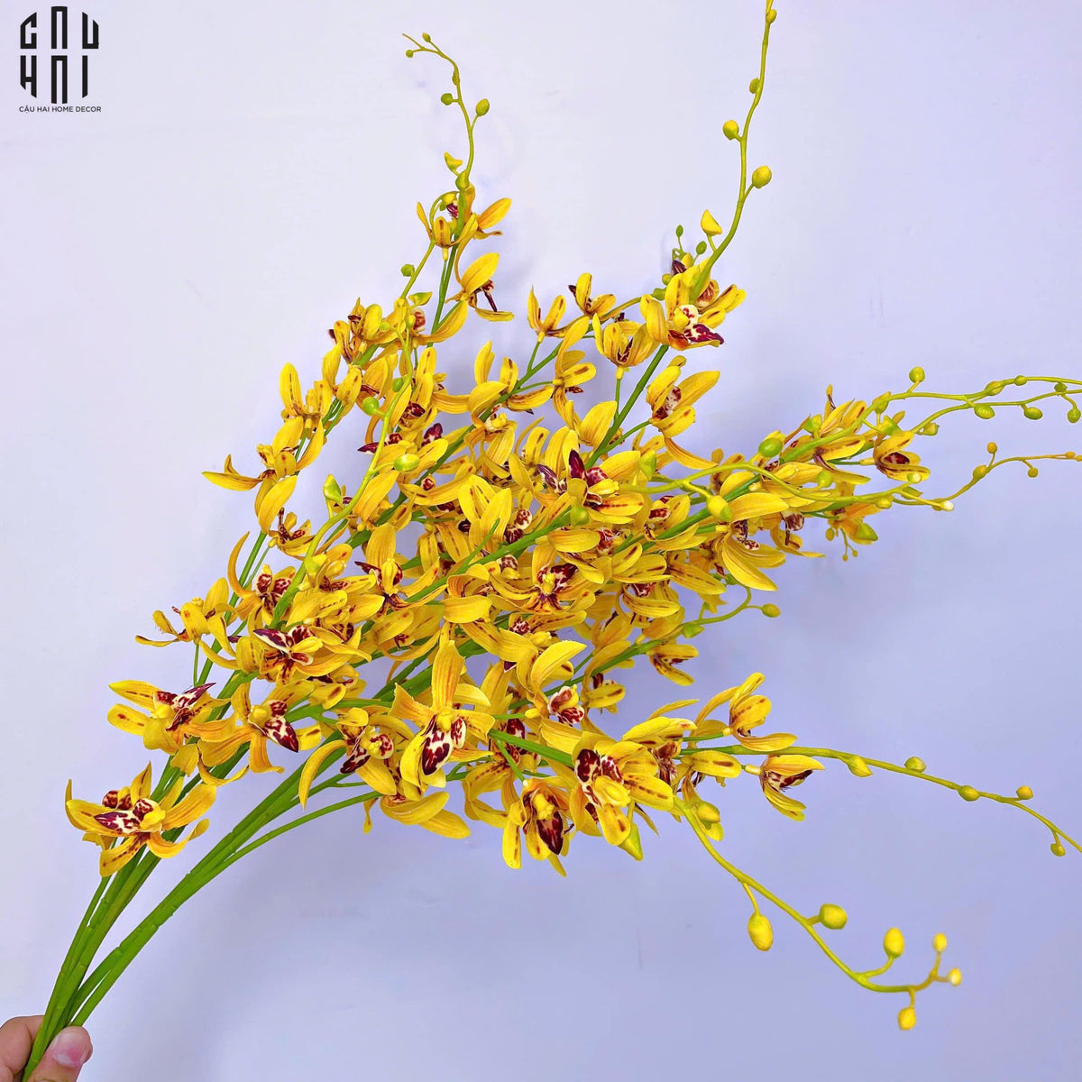 Set 2 Cành Địa Lan Cymbidium Mini - Vàng-Hoa Lụa-CẬU HAI HOME DECOR