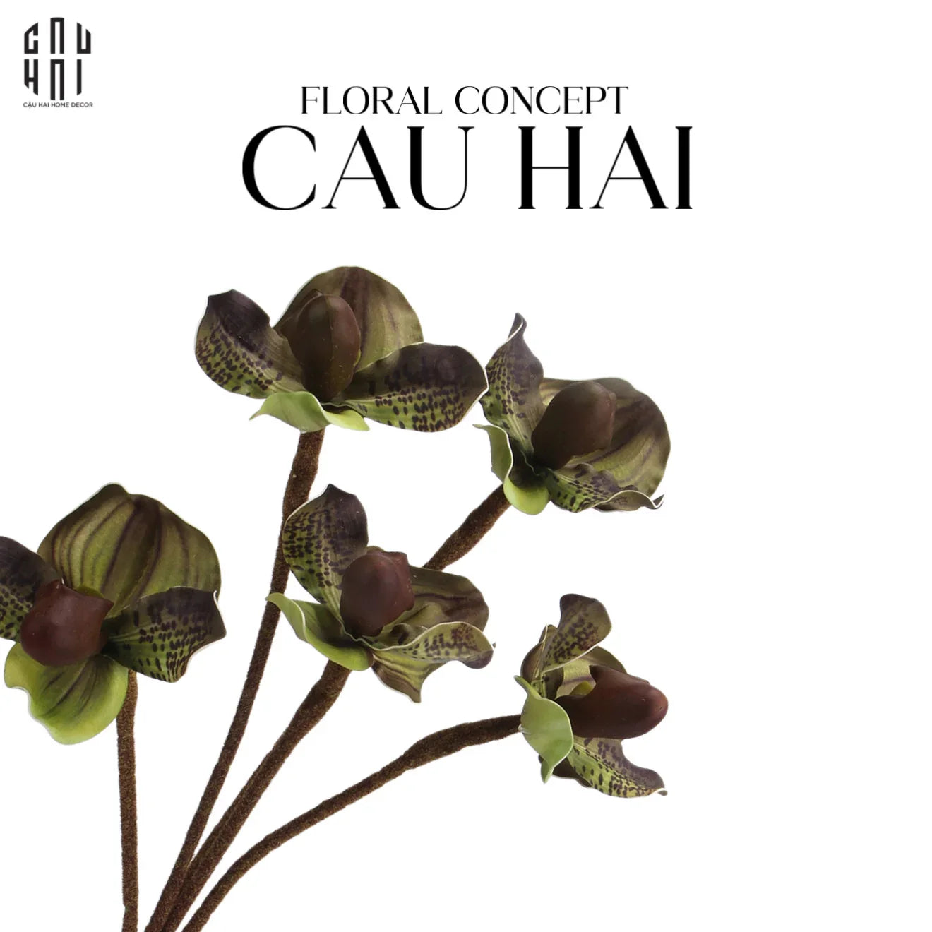 SET 2 CÀNH ĐỊA LAN PAPHIOPEDILUM - NATURAL VIOLET