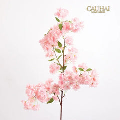 set-2-canh-hoa-anh-dao-brush-pink-sakura-cau-hai-home-decor-6 - CẬU HAI HOME DECOR