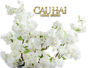 set-2-canh-hoa-anh-dao-trang-white-sakura-cau-hai-home-decor - CẬU HAI HOME DECOR