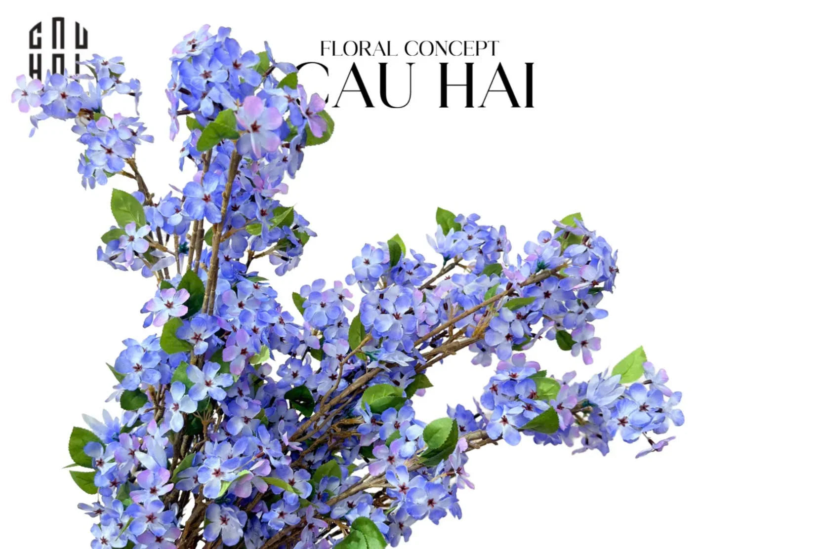 SET 2 CÀNH HOA BEGONIA