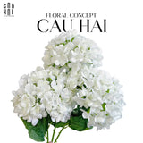 SET 2 CÀNH HOA CẨM TÚ CẦU ĐẠI - TRẮNG