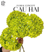 Set 2 Cành Hoa Cẩm Tú Cầu Đại - Xanh-Hoa Lụa-CẬU HAI HOME DECOR