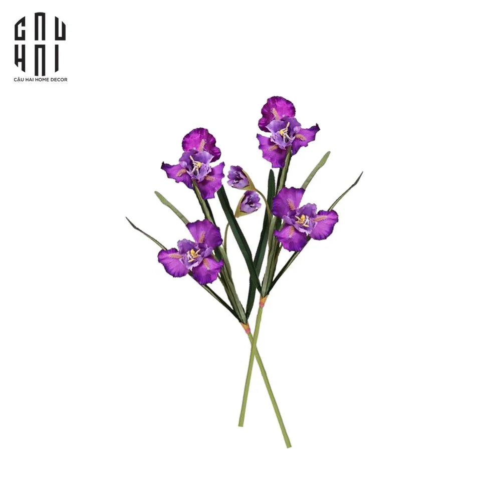 SET 2 CÀNH HOA DIÊN VĨ - IRIS - TÍM