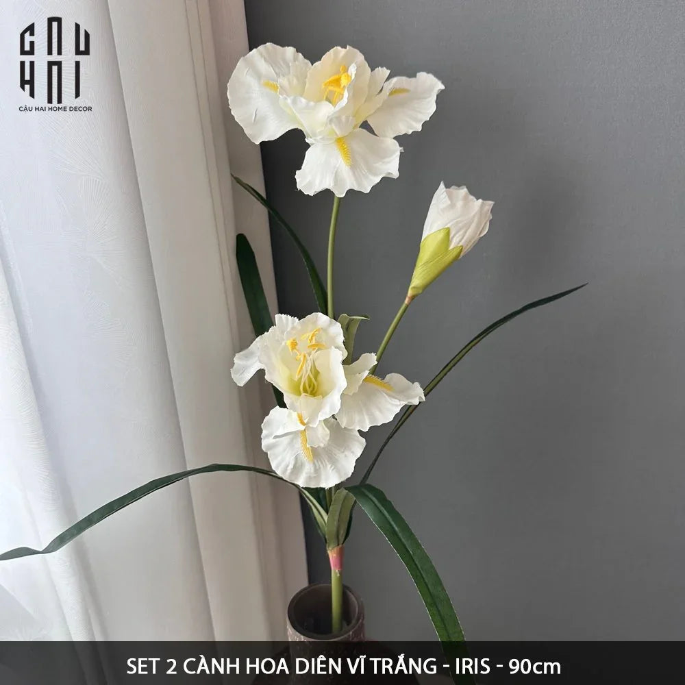 SET 2 CÀNH HOA DIÊN VĨ - IRIS - TRẮNG